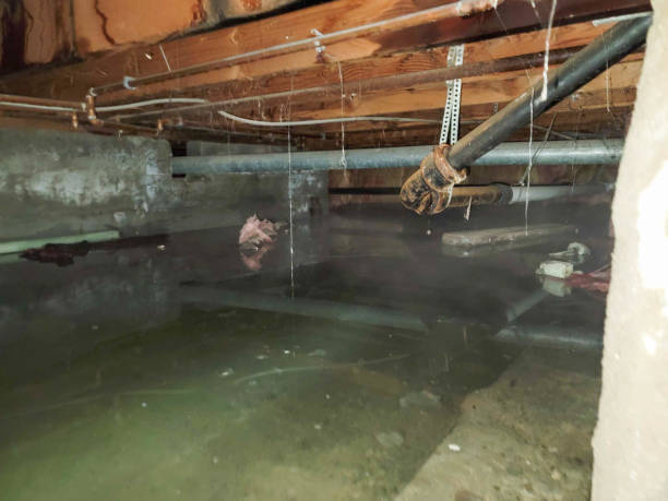 Best Residential water damage restoration  in Cowpens, SC