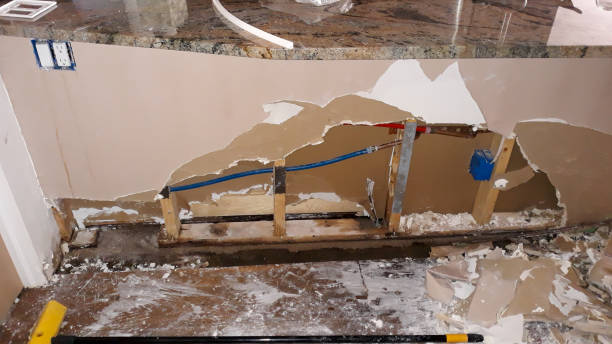 Best Professional water damage repair  in Cowpens, SC