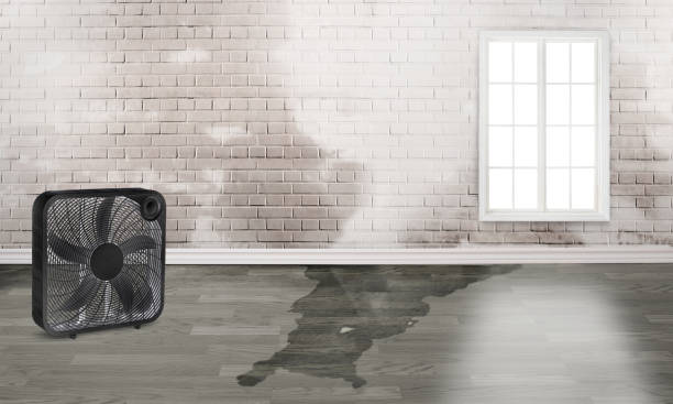 Best Water damage restoration near me  in Cowpens, SC
