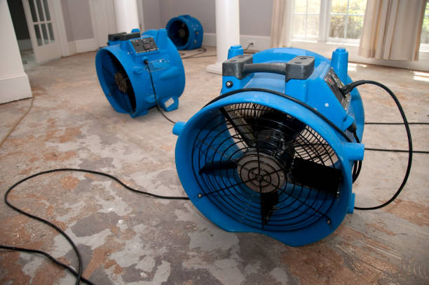 Best Basement water damage restoration  in Cowpens, SC