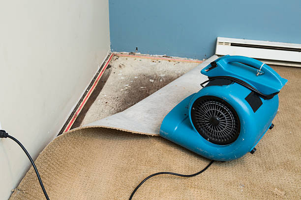 Reliable Cowpens, SC Water damage restoration Solutions